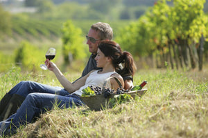 Santa Rita: Tour Clasico y Picnic