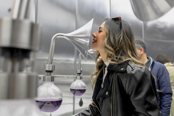 Concha y Toro: Tour Centro del Vino