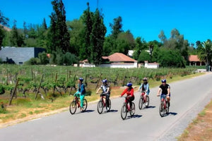 Viña Santa Rita Full Experience: Bike – Viñedos – Museo & Almuerzo