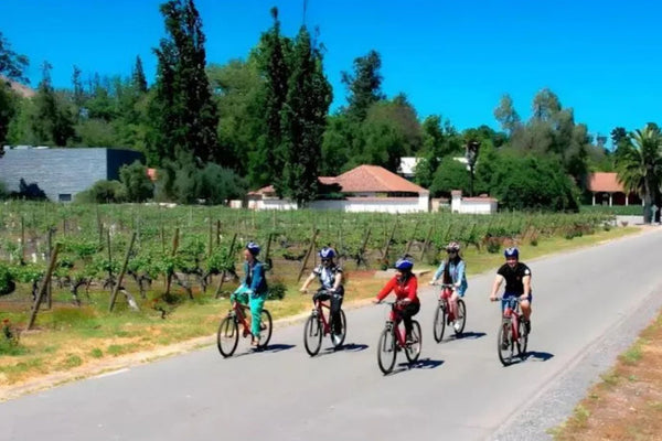 Viña Santa Rita Full Experience: Bike – Viñedos – Museo & Almuerzo
