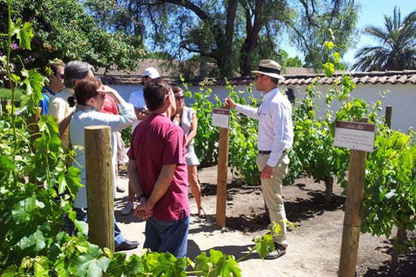 Santa Rita: Tour Clasico y Picnic