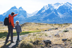Torres del Paine