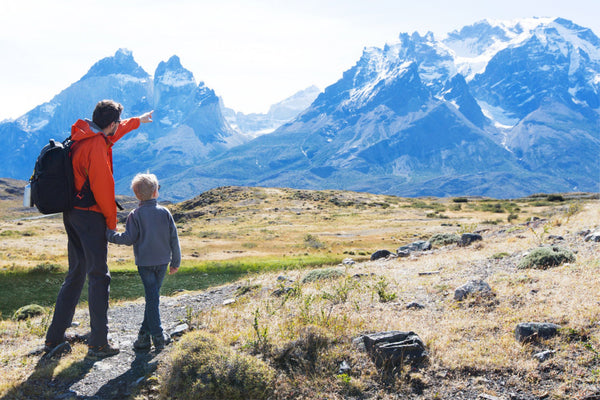 Torres del Paine