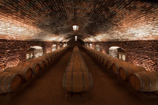 Concha y Toro: Tour Centro del Vino