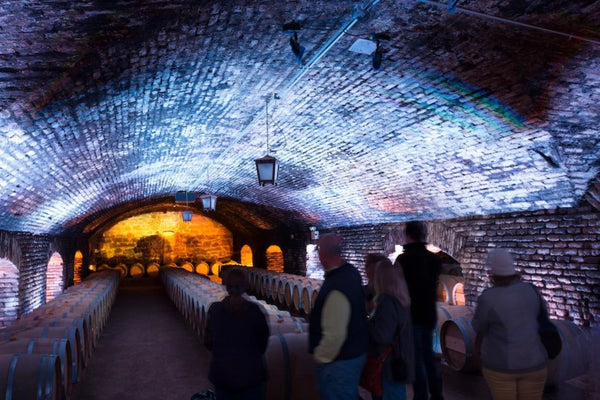 Concha y Toro: Tour Centro del Vino