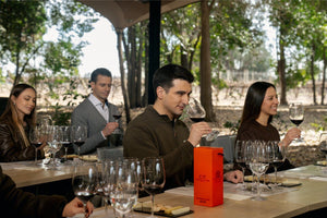 Experiencia Marques de Casa Concha